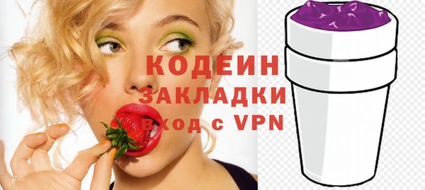 индика Семёнов
