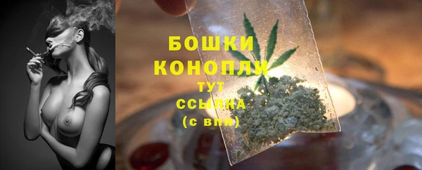 индика Семёнов