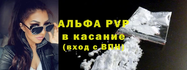 индика Семёнов