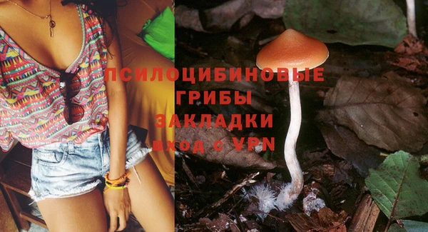 индика Семёнов