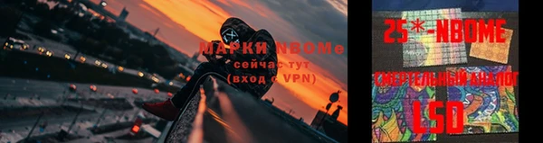 индика Семёнов