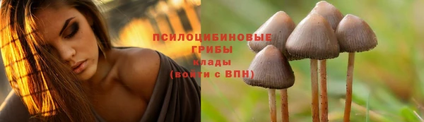 прущая мука Семилуки
