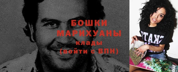индика Семёнов