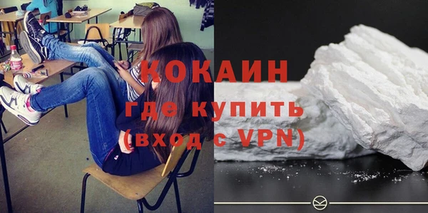 индика Семёнов