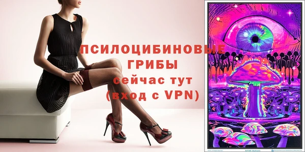 индика Семёнов