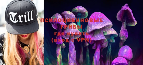 индика Семёнов