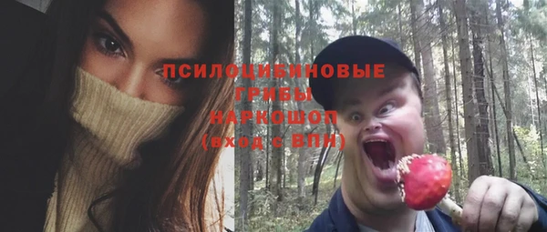 индика Семёнов