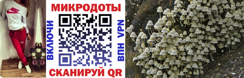 Псилоцибиновые грибы ЛСД Руза